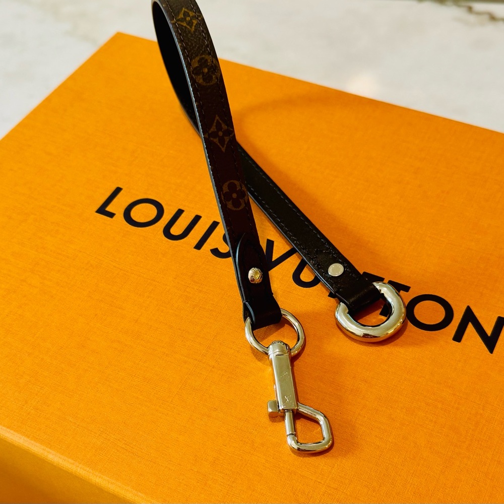Louis Vuitton Monogram Strap